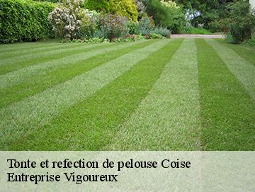 Tonte et refection de pelouse coise-69590 Entreprise Vigoureux