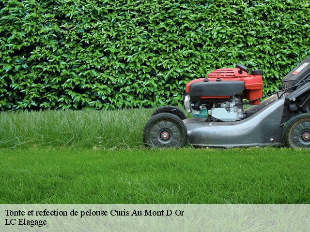 Tonte et refection de pelouse  curis-au-mont-d-or-69250 LC Elagage
