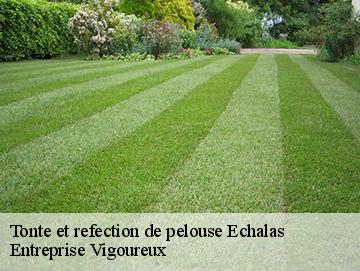 Tonte et refection de pelouse echalas-69700 Artisan Laforet