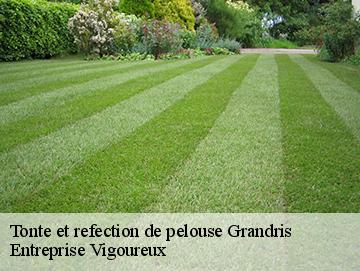 Tonte et refection de pelouse  grandris-69870 LC Elagage