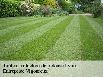 Tonte et refection de pelouse lyon-69000 Entreprise Vigoureux