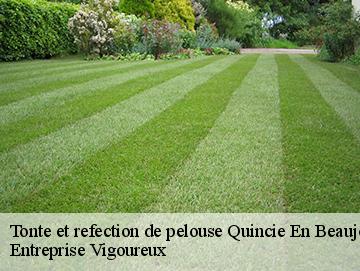 Tonte et refection de pelouse quincie-en-beaujolais-69430 Artisan Laforet