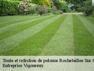 Tonte et refection de pelouse rochetaillee-sur-saone-69270 LC Elagage
