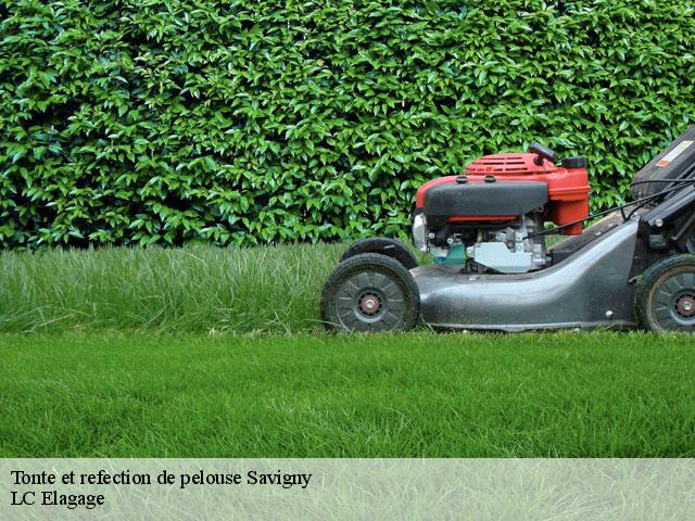 Tonte et refection de pelouse  savigny-69210 LC Elagage