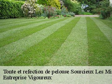 Tonte et refection de pelouse sourcieux-les-mines-69210 LC Elagage