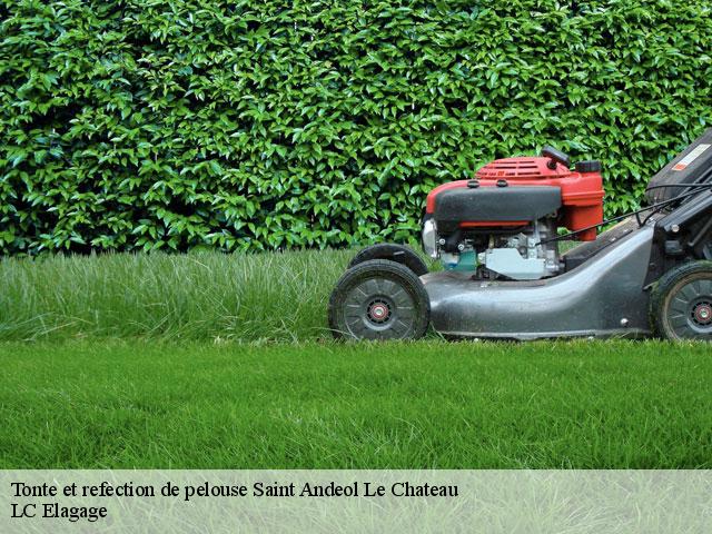 Tonte et refection de pelouse  saint-andeol-le-chateau-69700 LC Elagage
