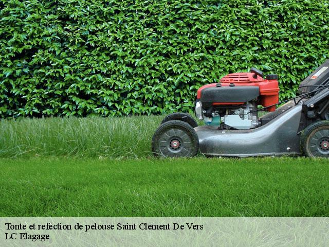 Tonte et refection de pelouse  saint-clement-de-vers-69790 LC Elagage