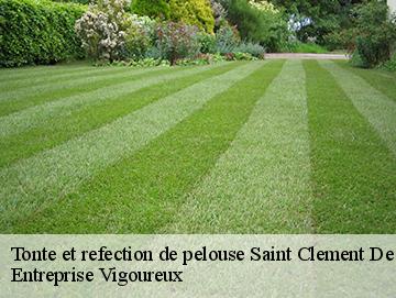 Tonte et refection de pelouse saint-clement-de-vers-69790 LC Elagage