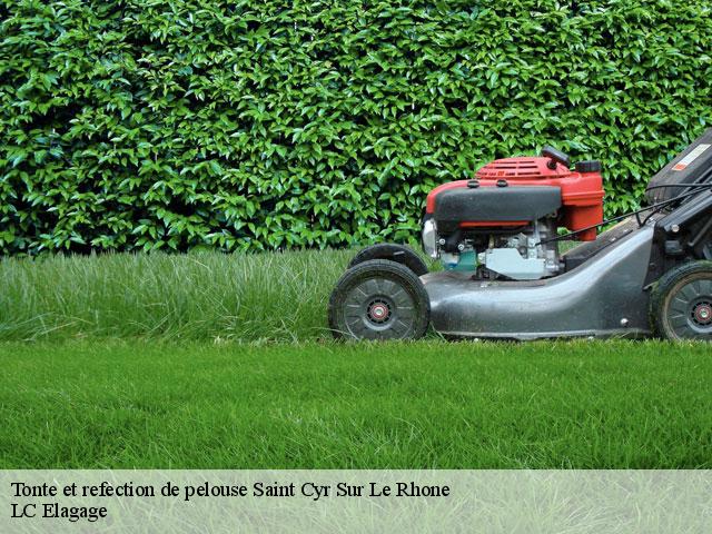 Tonte et refection de pelouse  saint-cyr-sur-le-rhone-69560 LC Elagage