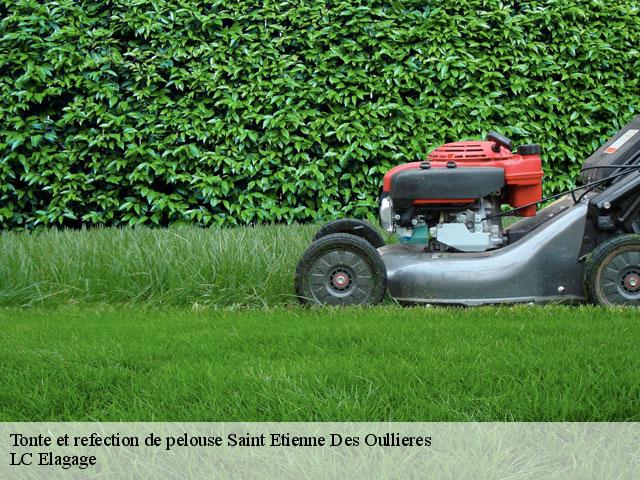 Tonte et refection de pelouse  saint-etienne-des-oullieres-69460 LC Elagage