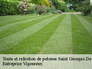 Tonte et refection de pelouse saint-georges-de-reneins-69830 LC Elagage