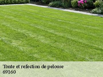 Tonte et refection de pelouse  69160