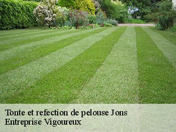 Tonte et refection de pelouse jons-69330 Entreprise Vigoureux