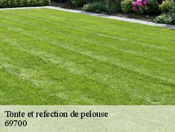 Tonte et refection de pelouse 69700