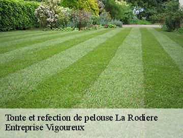 Tonte et refection de pelouse la-rodiere-69700 Entreprise Vigoureux