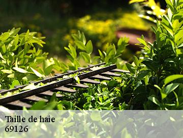 Taille de haie  69126