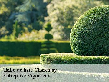 Taille de haie charentay-69220 Entreprise Vigoureux
