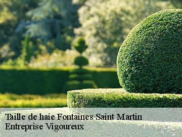 Taille de haie fontaines-saint-martin-69270 Entreprise Vigoureux