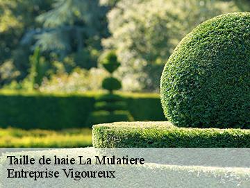Taille de haie la-mulatiere-69350 Entreprise Vigoureux