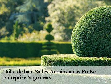 Taille de haie salles-arbuissonnas-en-be-69460 Artisan Laforet