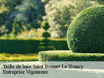 Taille de haie  saint-bonnet-le-troncy-69870 LC Elagage