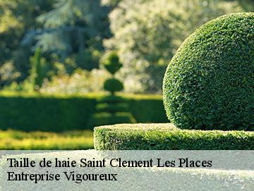 Taille de haie saint-clement-les-places-69930 Entreprise Vigoureux