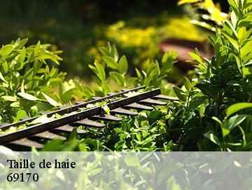 Taille de haie  69170