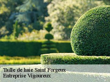 Taille de haie saint-forgeux-69490 Artisan Laforet