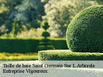 Taille de haie saint-germain-sur-l-arbresle-69210 LC Elagage