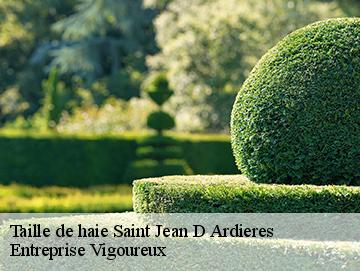 Taille de haie saint-jean-d-ardieres-69220 Entreprise Vigoureux