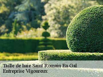 Taille de haie saint-romain-en-gal-69560 LC Elagage