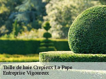 Taille de haie crepieux-la-pape-69140 Artisan Laforet