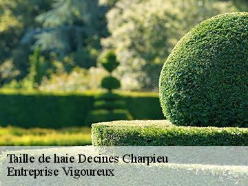 Taille de haie decines-charpieu-69150 Artisan Laforet