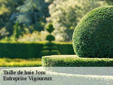 Taille de haie jons-69330 Entreprise Vigoureux