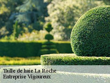 Taille de haie la-roche-69620 LC Elagage