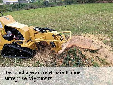 Dessouchage arbre et haie 69 Rhône Elagage Lobry