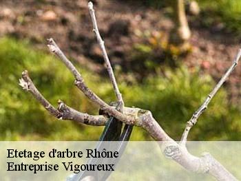 Etetage d'arbre 69 Rhône LC Elagage