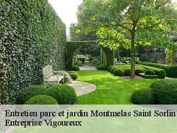 Entretien parc et jardin montmelas-saint-sorlin-69640 Entreprise Vigoureux