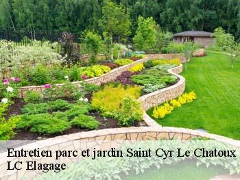 Entretien parc et jardin  saint-cyr-le-chatoux-69870 LC Elagage