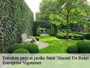 Entretien parc et jardin  saint-vincent-de-reins-69240 LC Elagage