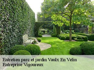 Entretien parc et jardin vaulx-en-velin-69120 Entreprise Vigoureux