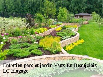 Entretien parc et jardin  vaux-en-beaujolais-69460 LC Elagage