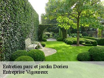 Entretien parc et jardin dorieu-69550 Entreprise Vigoureux
