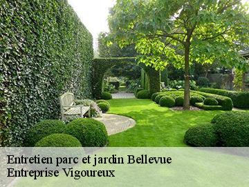Entretien parc et jardin bellevue-69440 Entreprise Vigoureux