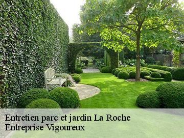 Entretien parc et jardin la-roche-69620 LC Elagage