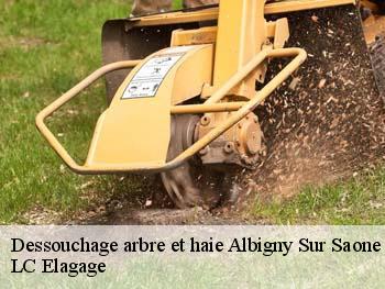 Dessouchage arbre et haie  albigny-sur-saone-69250 LC Elagage