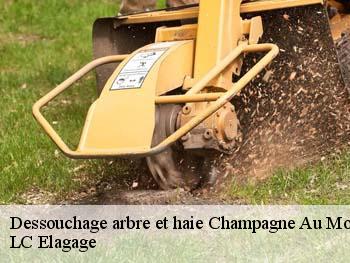 Dessouchage arbre et haie  champagne-au-mont-d-or-69410 LC Elagage