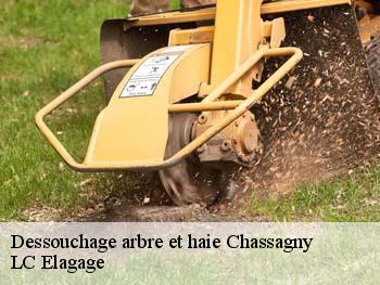Dessouchage arbre et haie  chassagny-69700 LC Elagage
