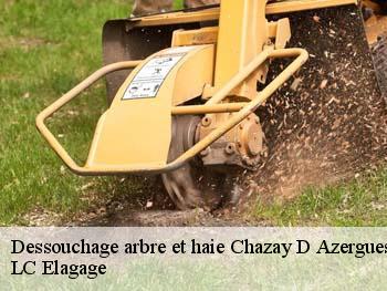 Dessouchage arbre et haie  chazay-d-azergues-69380 LC Elagage