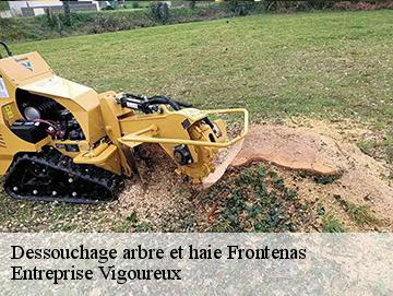 Dessouchage arbre et haie frontenas-69620 Elagage Lobry